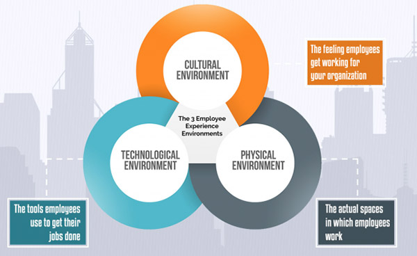 3 employee experience environments