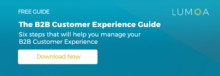 The B2B Customer Experience Guide
